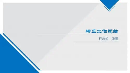 转正工作总结