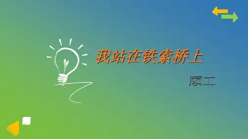 我站在铁索桥上