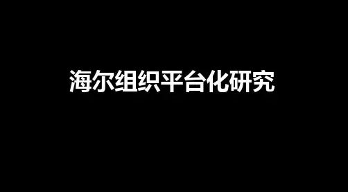 海尔组织平台化研究 ppt课件