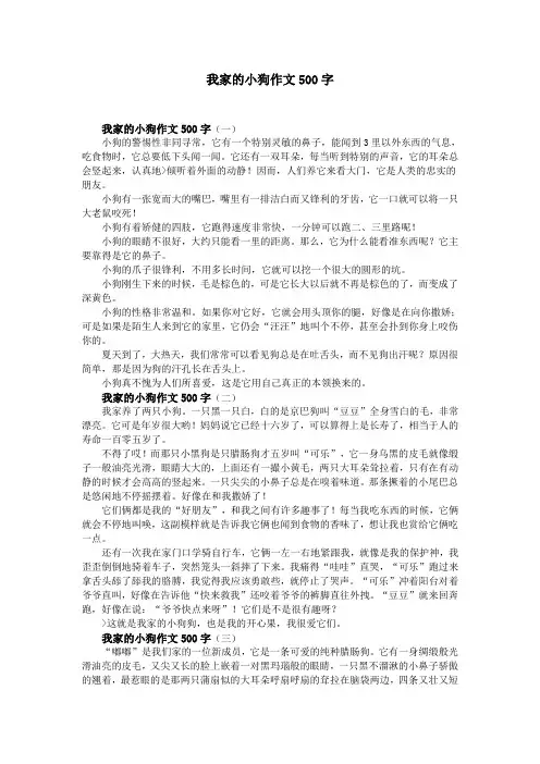我家的小狗作文500字