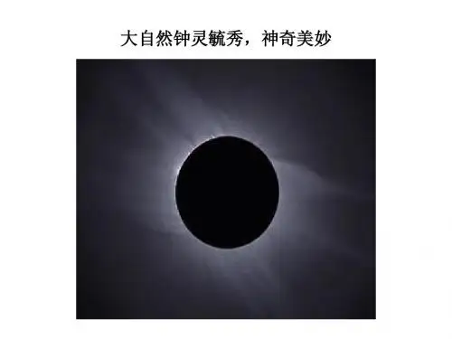 作文 感悟大自然