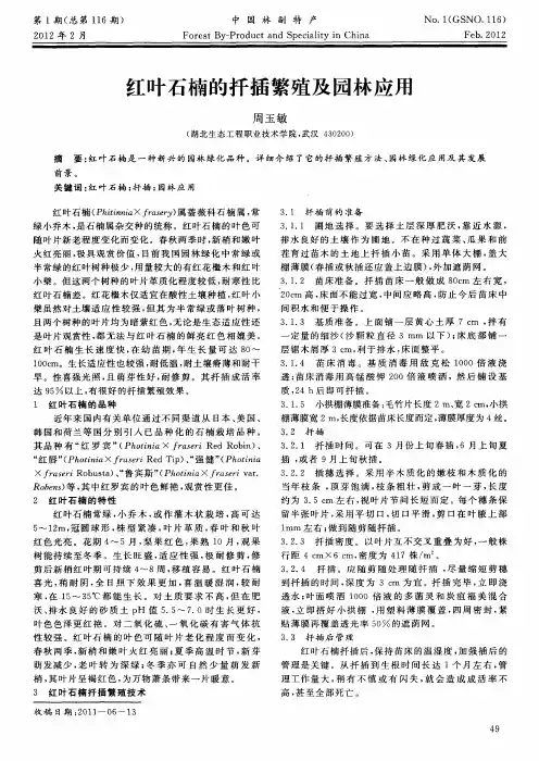 红叶石楠的扦插繁殖及园林应用