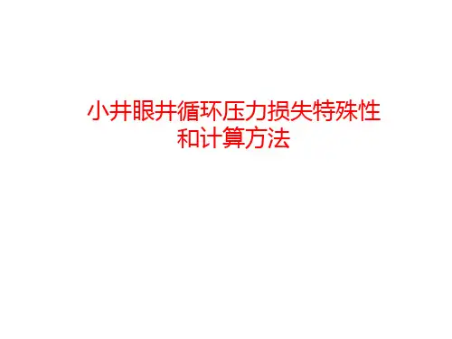 第5小组 小井眼井循环压力损失特殊性和计算方法