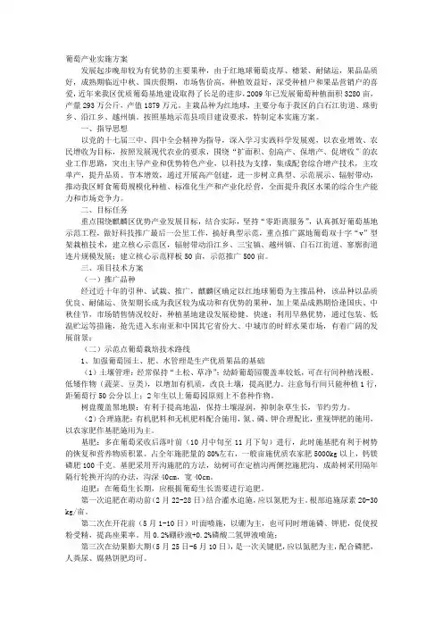 葡萄实施方案