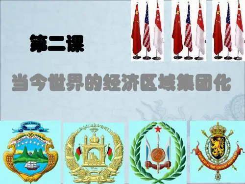 当今世界经济区域集团化的发展》课件人民版自己用