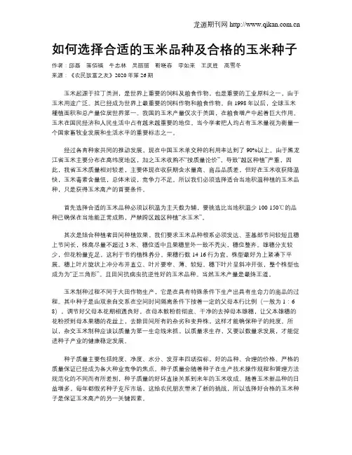 如何选择合适的玉米品种及合格的玉米种子