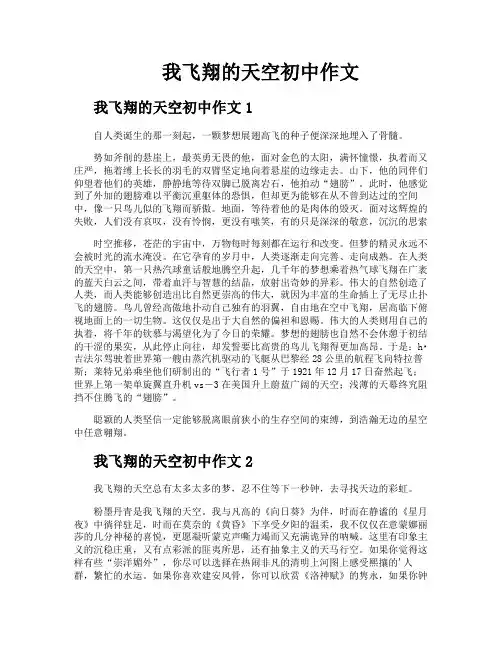 我飞翔的天空初中作文