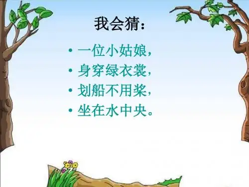 (力荐)14荷叶圆圆
