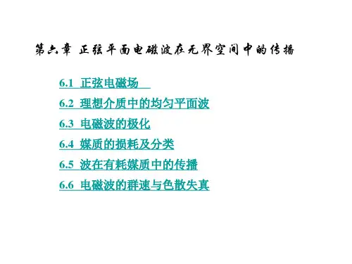 电磁场与电磁波(正弦平面电磁波在无界空间中的传播)