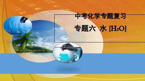 中考化学专题复习 水 课件
