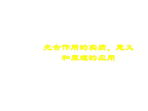 七年级生物光合作用的实质