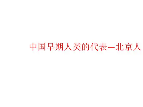 七年级上册历史第一课中国境内早期人类代表北京人