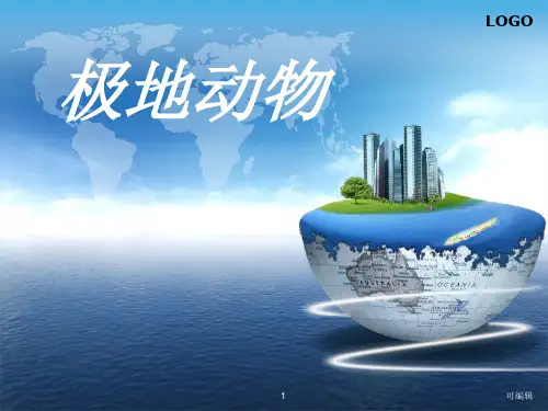 极地动物PPT课件