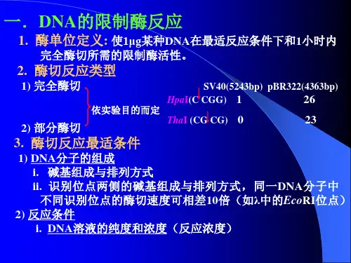 DNA限制酶切反应和限制酶谱绘制