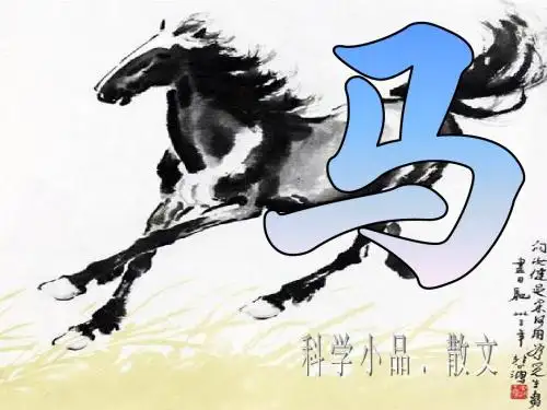 七年级下册《马》课件