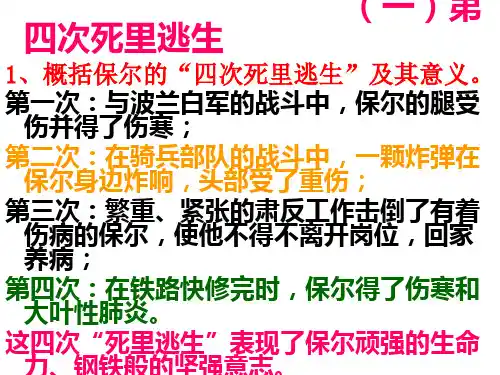 钢铁是怎样炼成的-参考答案