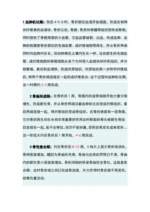 骨折的愈合分期