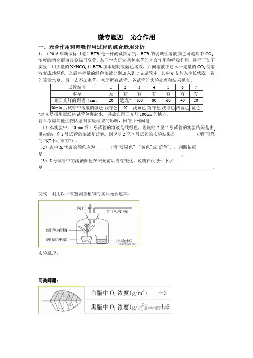 微专题五   光合作用专题