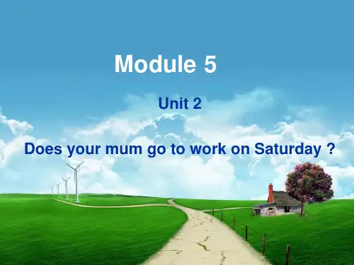 《Unit2DoesyourmumgotoworkonSaturdays》2精品PPT课件