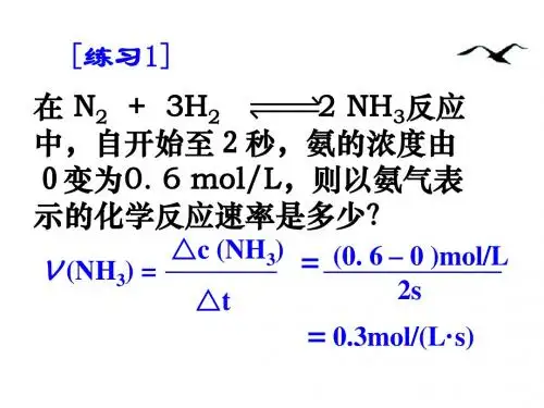 高一化学化学反应速率和限度2(2)