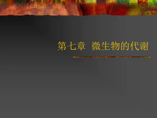 (食品微生物课件)第七章微生物的代谢