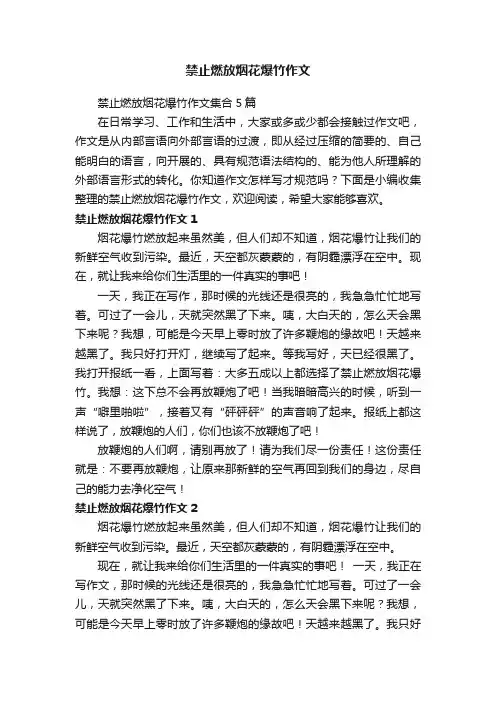 禁止燃放烟花爆竹作文 2
