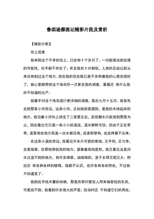 鲁滨逊漂流记精彩片段及赏析 2
