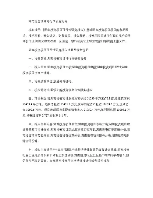 湖南投资项目可行性研究报告-