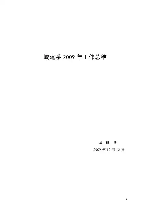 2009年工作总结