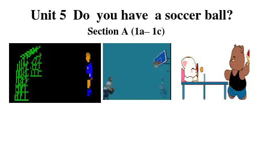 人教版七年级英语上册-unit 5 Do you have a soccer ball?(3)课件