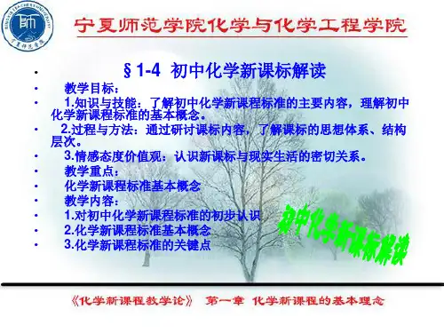 初中化学新课标解读