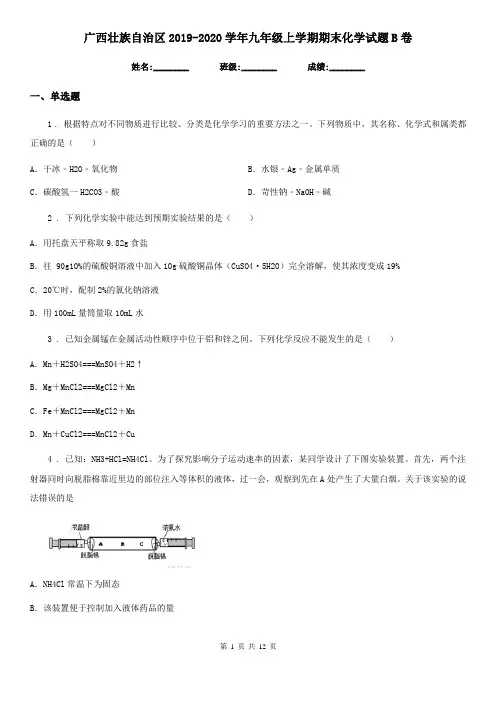 广西壮族自治区2019-2020学年九年级上学期期末化学试题B卷