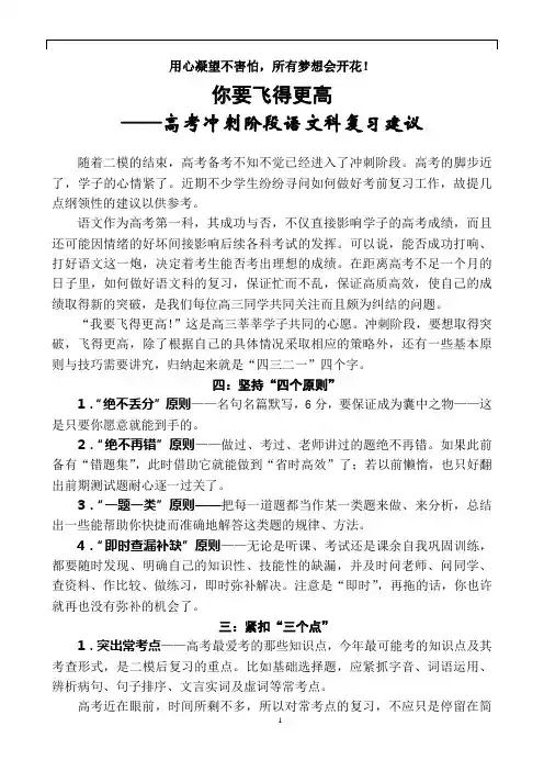 你要飞得更高——冲刺阶段语文科复习建议