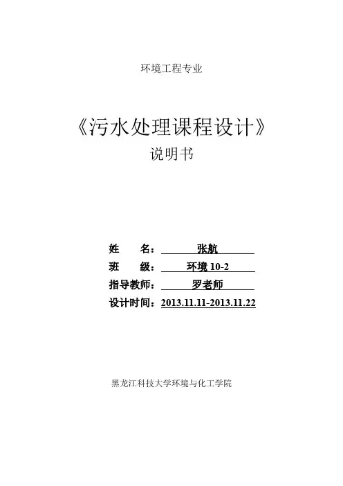 SBR工艺设计