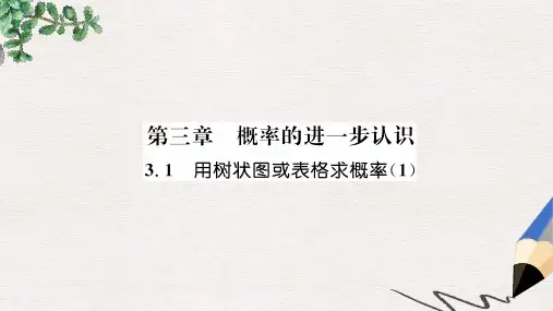 2019年秋九年级数学上册 第3章 概率的进一步认识 3.1 用树状图或表格求概率(1)作业课件北师大版