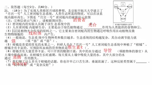 中考主观试题