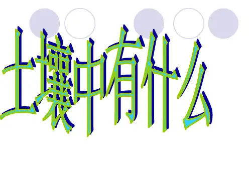 教科版教材《土壤中有什么》优质教学PPT1