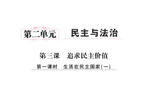 部编版九年级道德与法治上精品课件：生活中民主国家(一)(25页PPT)