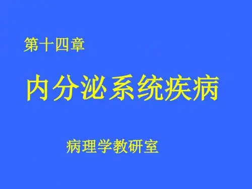 内分泌幻灯