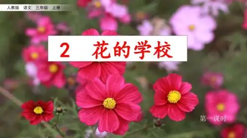 三年级上册语文课件-《花的学校》(部编版)
