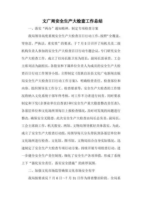文广局安全生产大检查工作总结