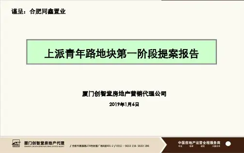 合肥上派青年路地块第一阶段提案报告2019-87页