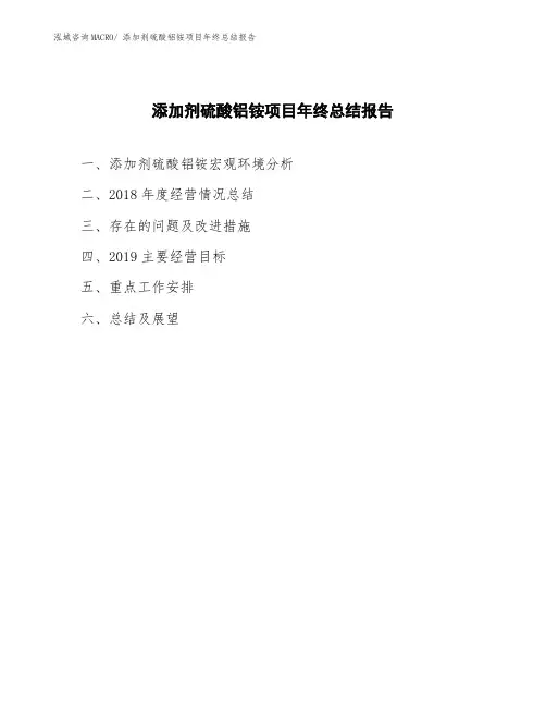 添加剂硫酸铝铵项目年终总结报告