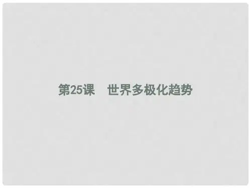 高中历史 第七单元 复杂多样的当代世界 25 世界多极化