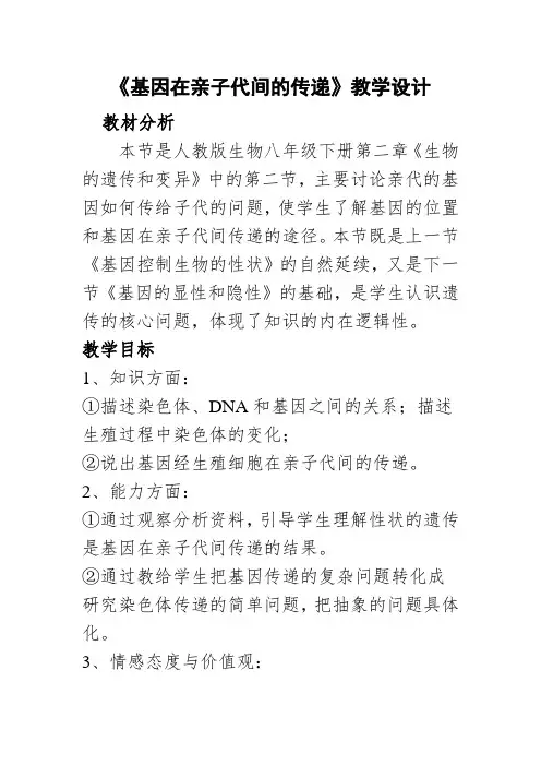 八年级生物下册教案-7.2.2基因在亲子代间的传递24-人教版
