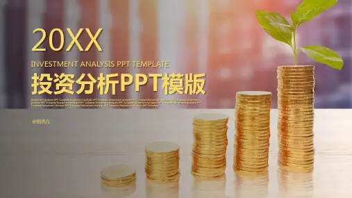 银行金融投资分析PPT模板 ppt