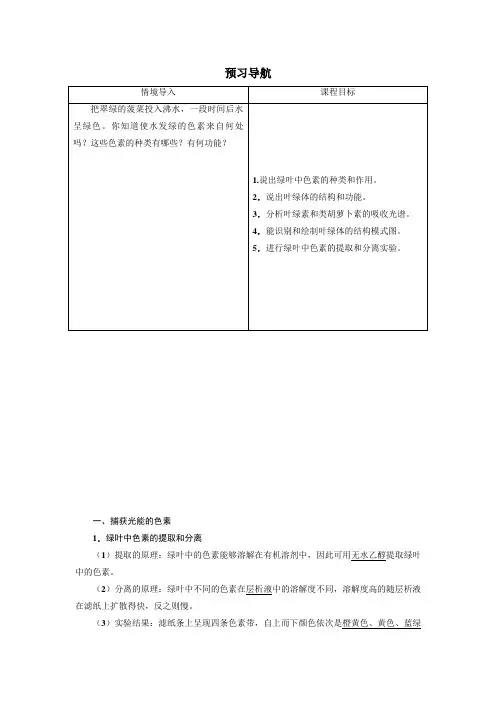 人教课标生物必修1《捕获光能的色素和结构》预习导航(第1课时)