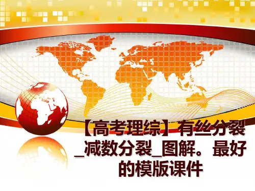 最新【高考理综】有丝分裂_减数分裂_图解。最好的模版课件PPT课件