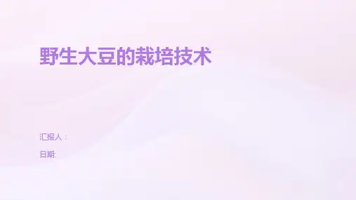 野生大豆的栽培技术