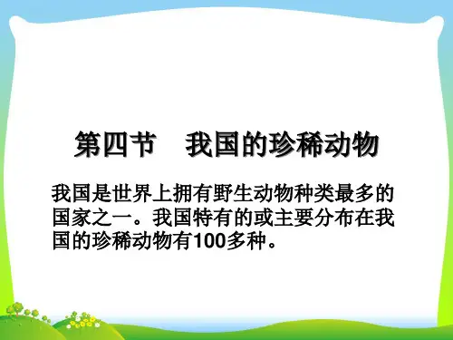 我国的珍稀动物-课件
